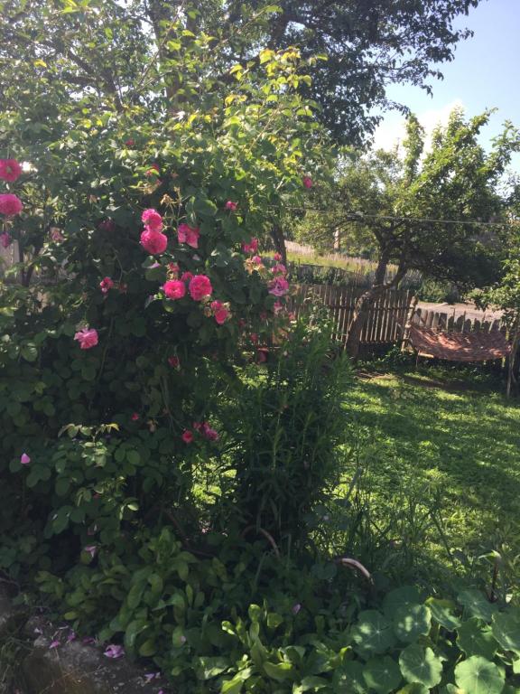Zahrada ubytování Guesthouse LALI GULEDANI