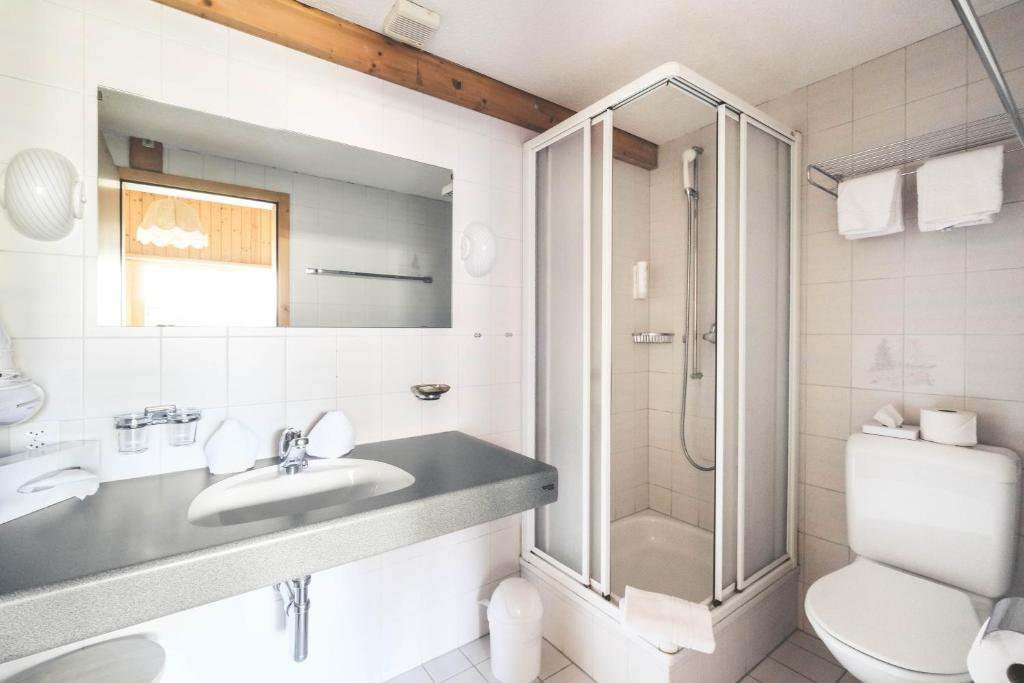 Bany a Hotel Alpina