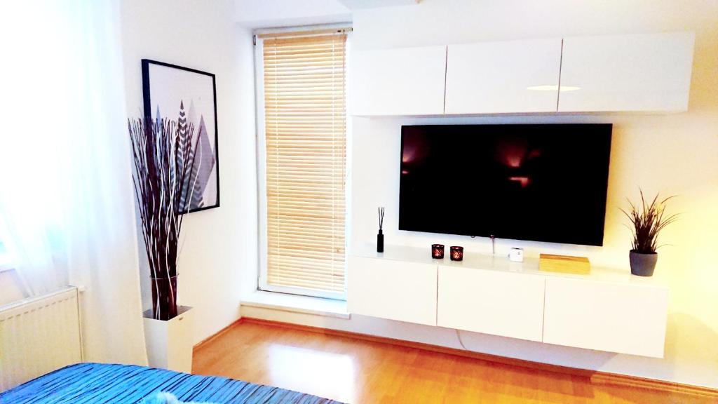 TV a/nebo společenská místnost v ubytování Apartmán u sklárny