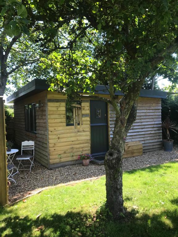 a small wooden cabin with a tree in the yard at Little Banks Cabin in Ringwood