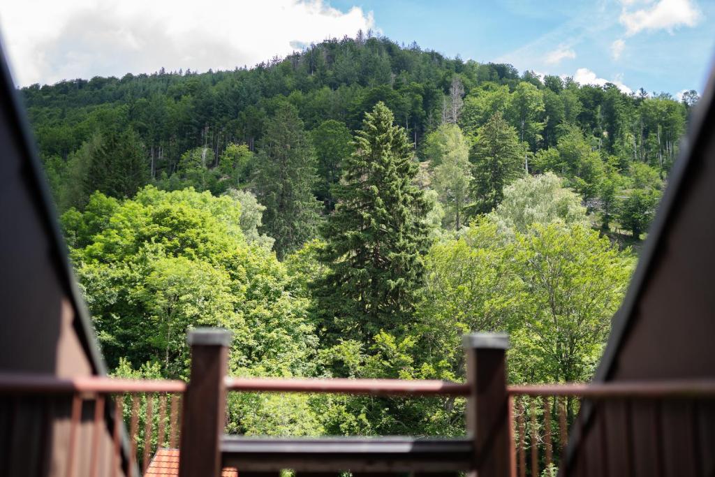 Příroda nedaleko apartmánu