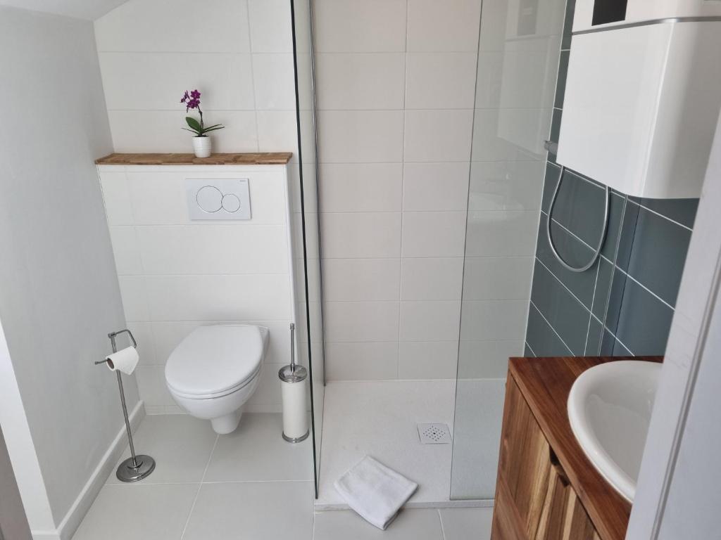 Osemae Immobilier - Redon Port-Chatelêt - Suite Mit Zugang Zum Spa