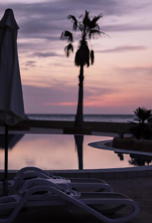 a palm tree in front of a pool with an umbrella at Cavalieri Art Hotel in St. Julianʼs