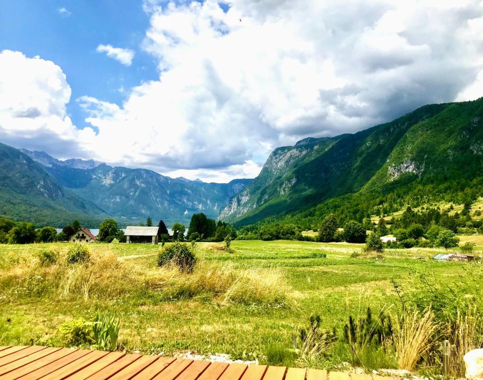 a view of a field with mountains in the background at Residence Aurora, Bohinj in Bohinj