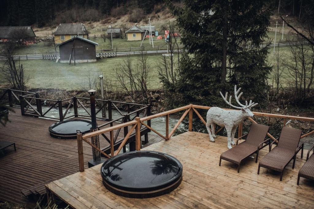 Příroda nedaleko hotelu