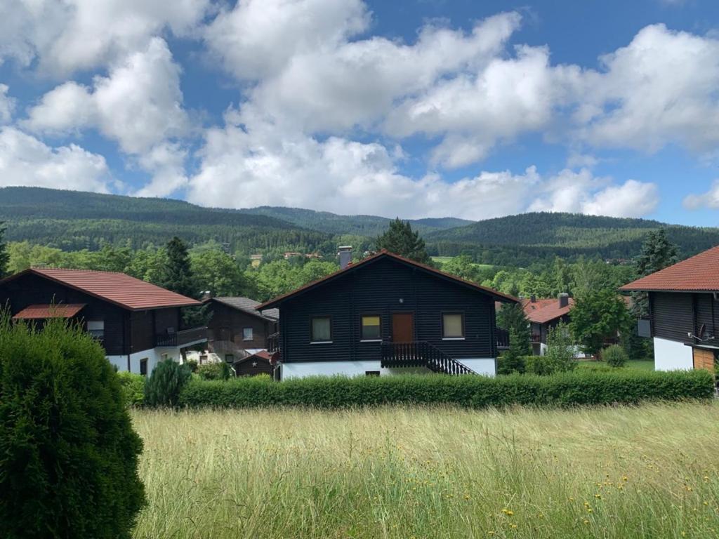 uma casa numa aldeia com montanhas ao fundo em Feriendorf am hohen Bogen Haus 98 EG em Arrach