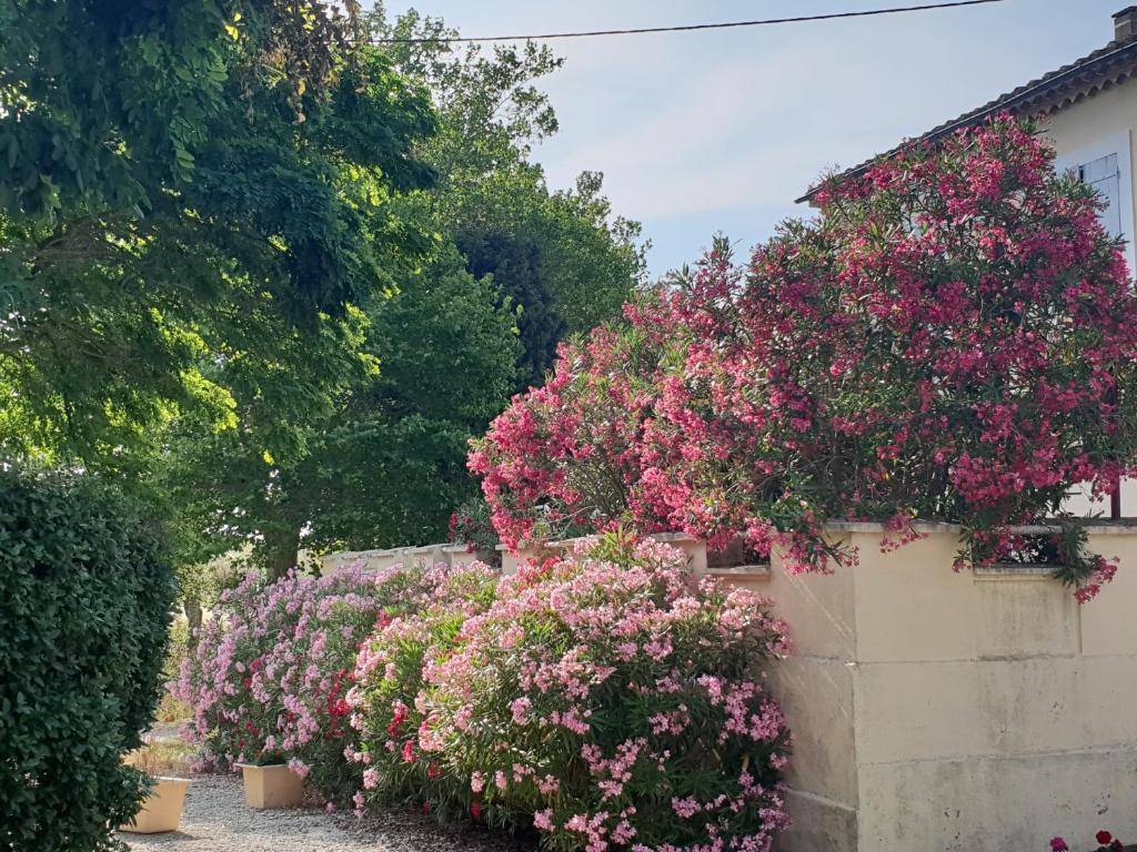 a row of bushes with pink flowers on a wall at Domaine De La Petite Tour in Montréal