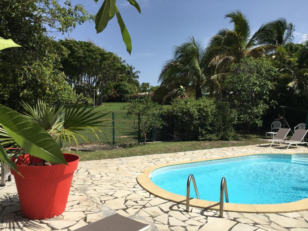 - une piscine dans une cour avec une plante en pot dans l'établissement Villas Karukera - Hamak Coco Caraibes, à Kahouanne