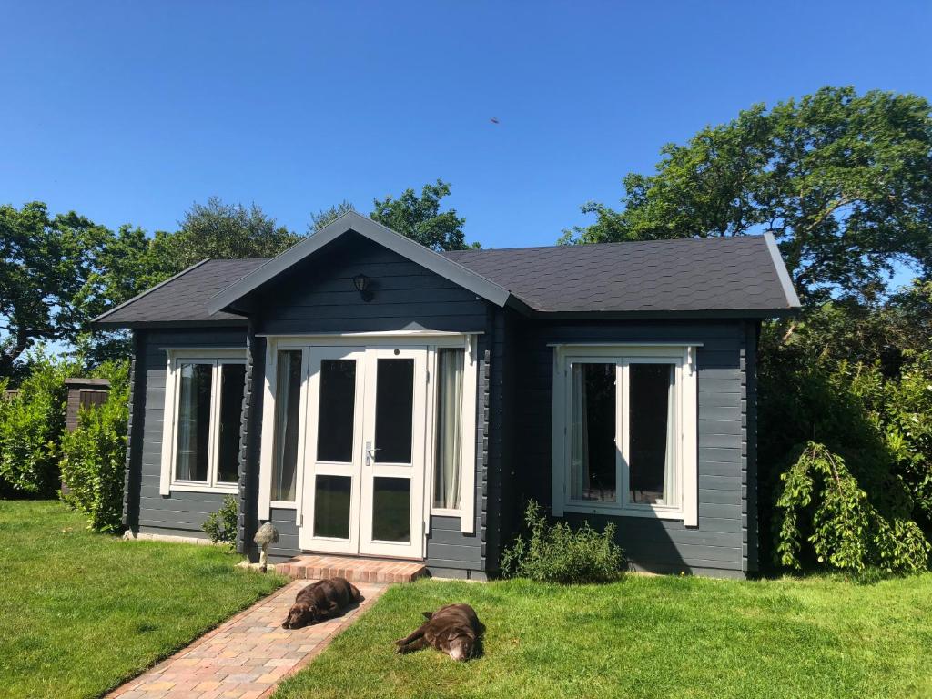 a black house with two dogs laying in the grass at Modern Summerhouse in Lymington