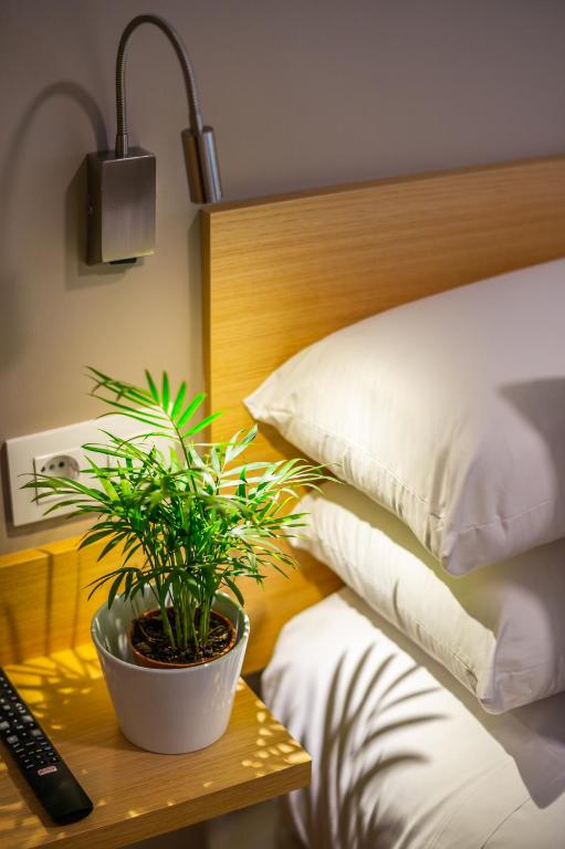 Hotel Vas Vitoria AutoCheckIn - Deluxe Twin Room