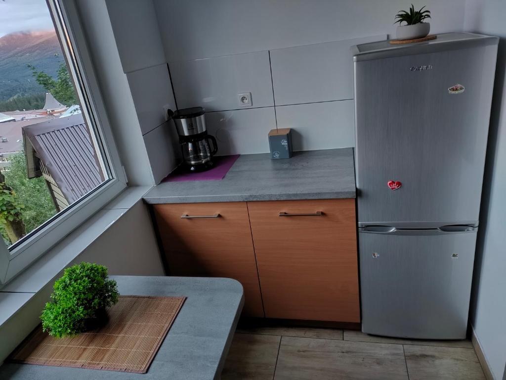 Kuchyňa alebo kuchynka v ubytovaní Apartamenty Złoty widok