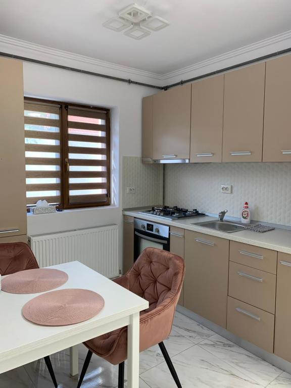- une cuisine avec une table, une table et des chaises dans l'établissement AP Studio, à Caransebeş