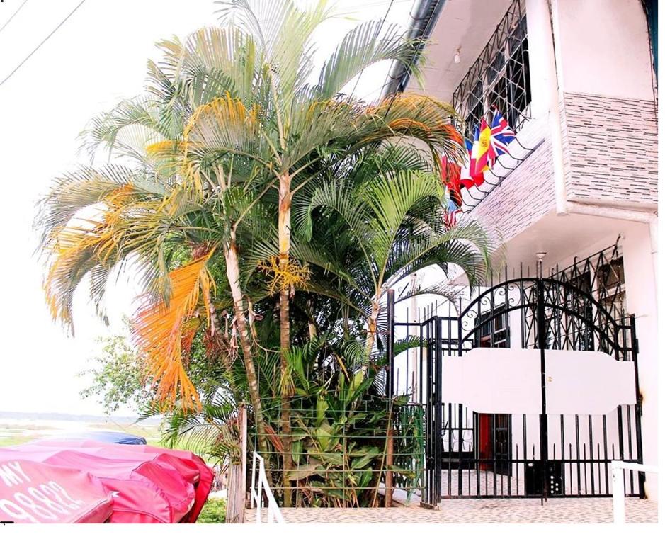een palmboom voor een gebouw bij Hostal Maravilla Amazonica in Iquitos