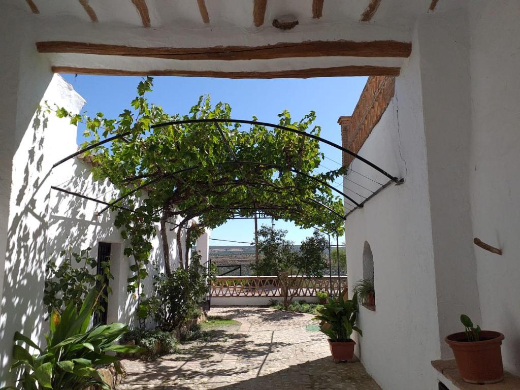 Fotografie z fotogalerie ubytování Casa Cueva Pastor v destinaci Fontanar