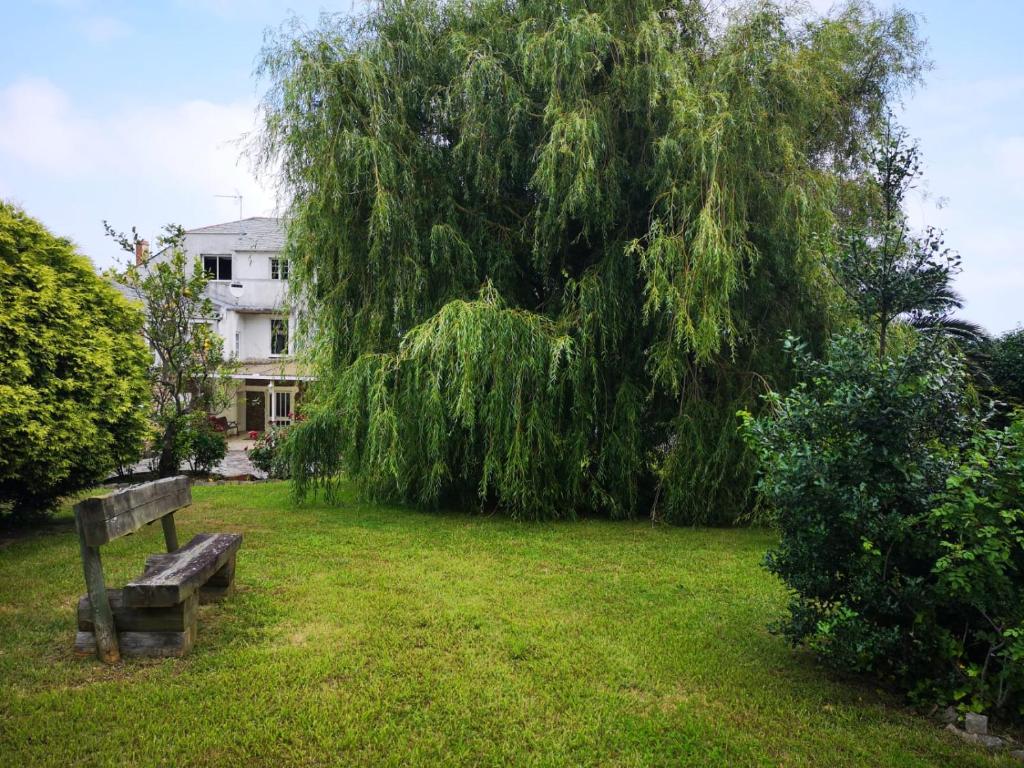 a park with a bench in front of a large tree at Hotel Amadora - Admite mascotas in Barreiros