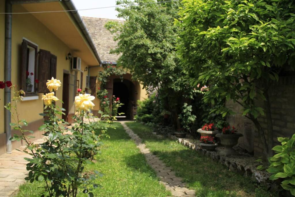einen Garten eines Hauses mit Gehweg in der Unterkunft Apartman Brankova kuća in Sremski Karlovci