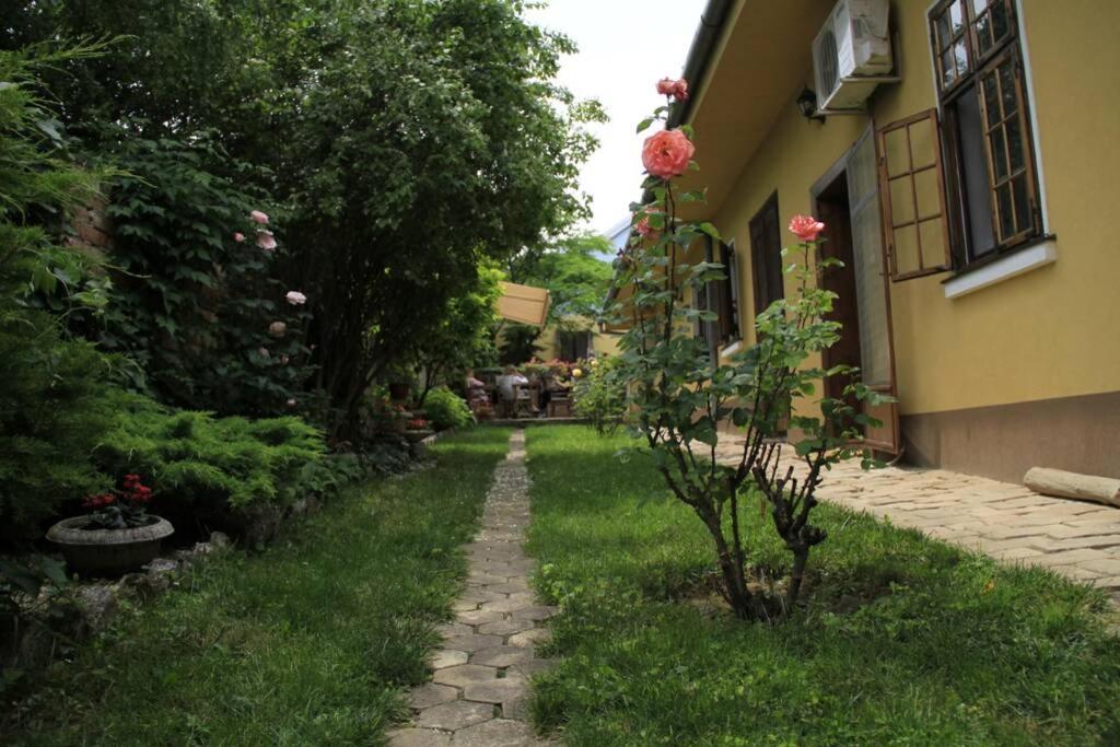 Zahrada ubytování Apartman Brankova kuća