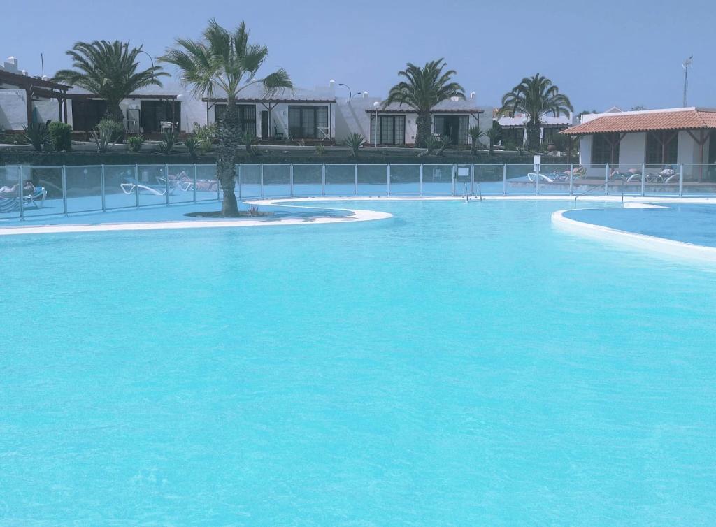 a large pool of blue water with palm trees at Sun Beach 14 Espino Castillo in Caleta De Fuste