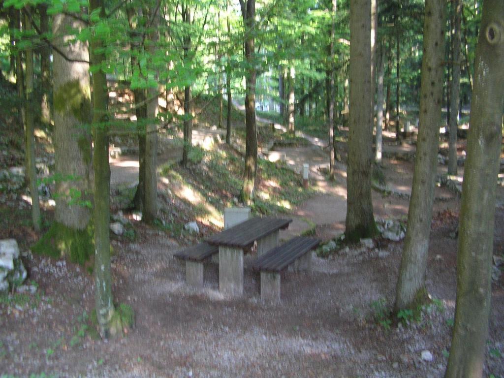 Příroda nedaleko kempu