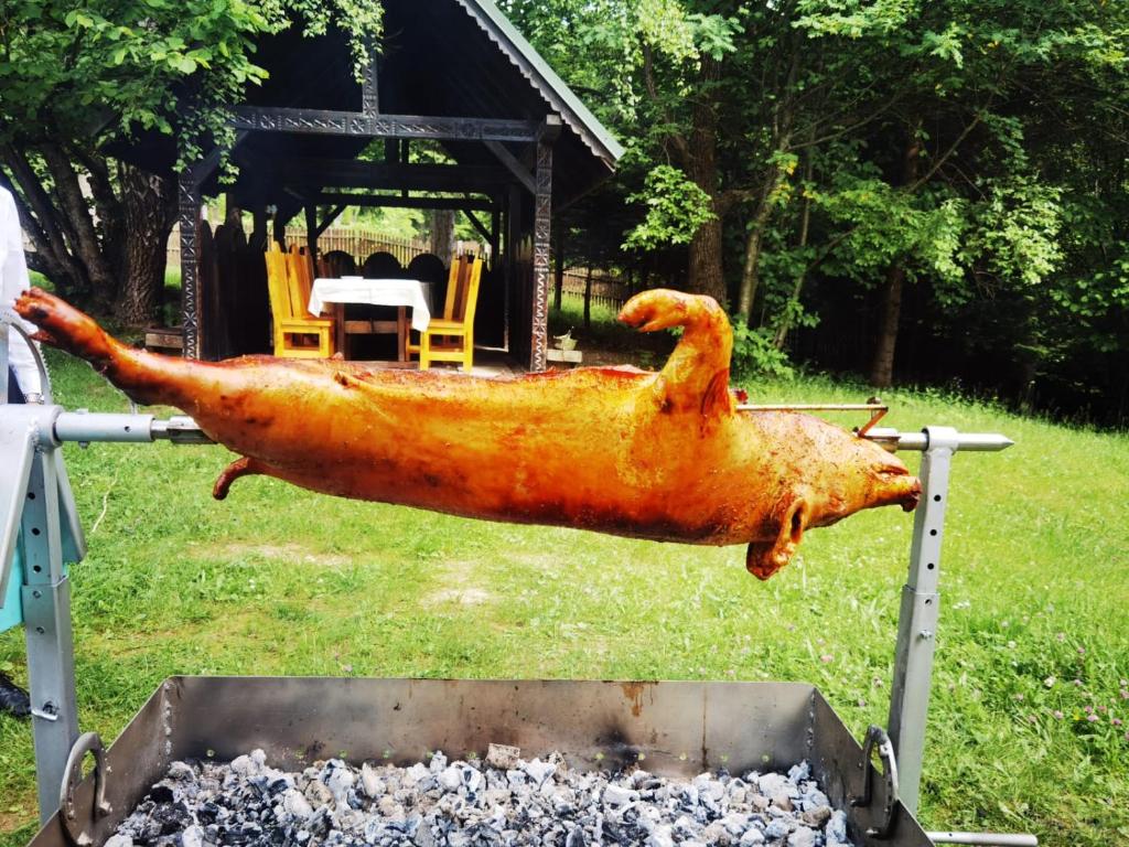 Hotel Casa Viorel jacuzzi & saunas - Resim 36