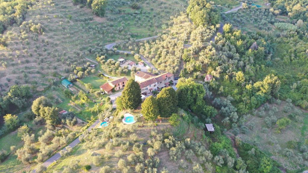 Vue aérienne d'une maison au milieu d'une forêt dans l'établissement la stanza del sole, à Matraia