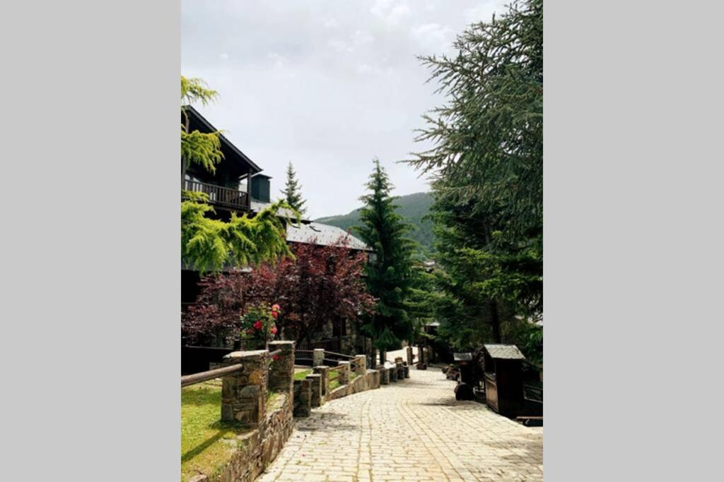 a cobblestone street with a house and trees at Rústic Chic de Luxe 47H in Canillo