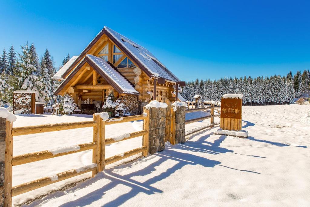 Kış mevsiminde KRALJICA ŠUME - Divjake Log Home