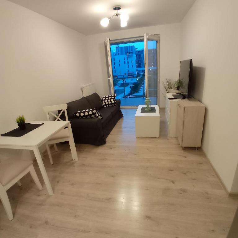 Televízia a/alebo spoločenská miestnosť v ubytovaní Apartament Ruczaj 2