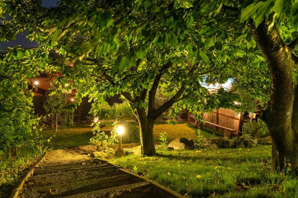 Ogród w obiekcie B&B LA GRADINA