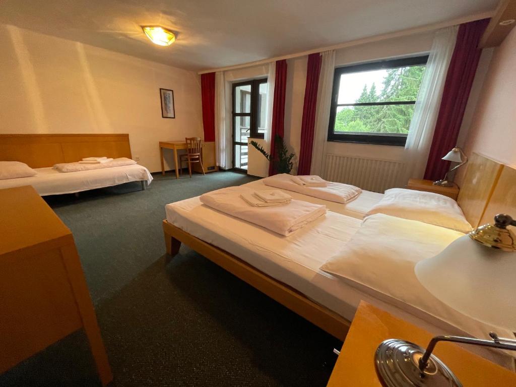 Postel nebo postele na pokoji v ubytování Hotel Bohemia