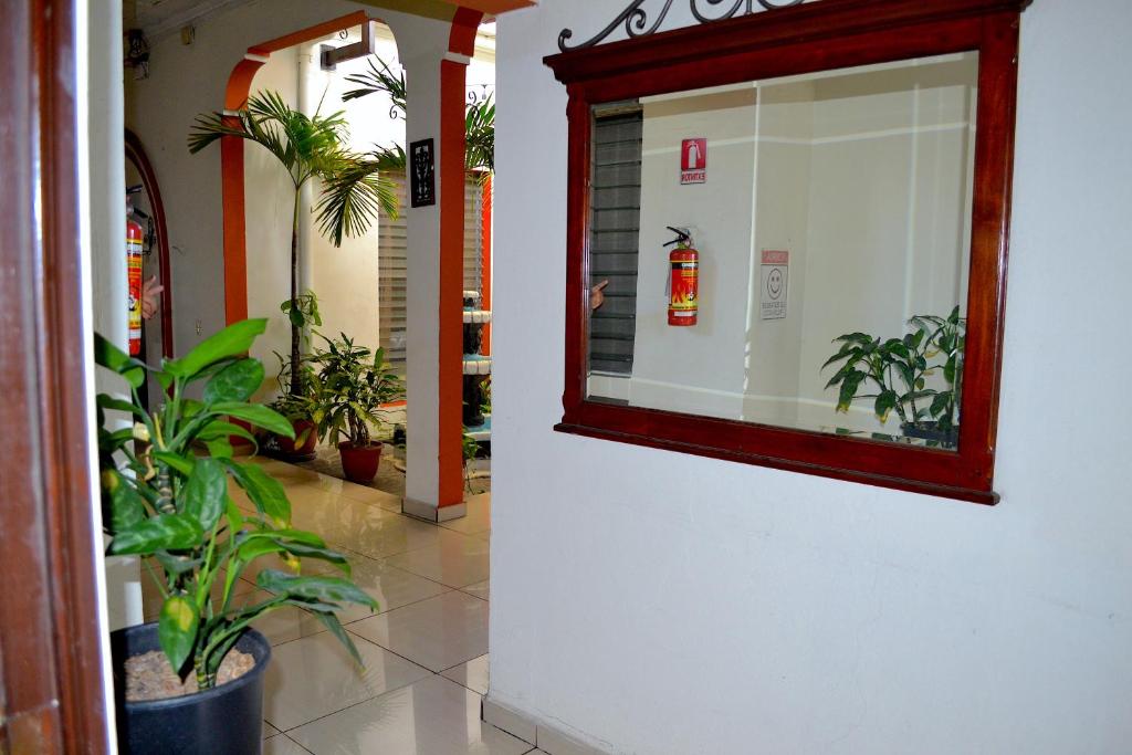 Hotel Bella Luz Centro Historico - Housity