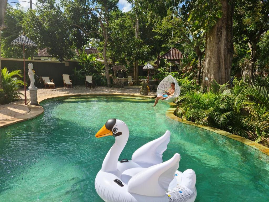 twee witte zwanen in een zwembad in een tuin bij Rasasvada cottages in Uluwatu