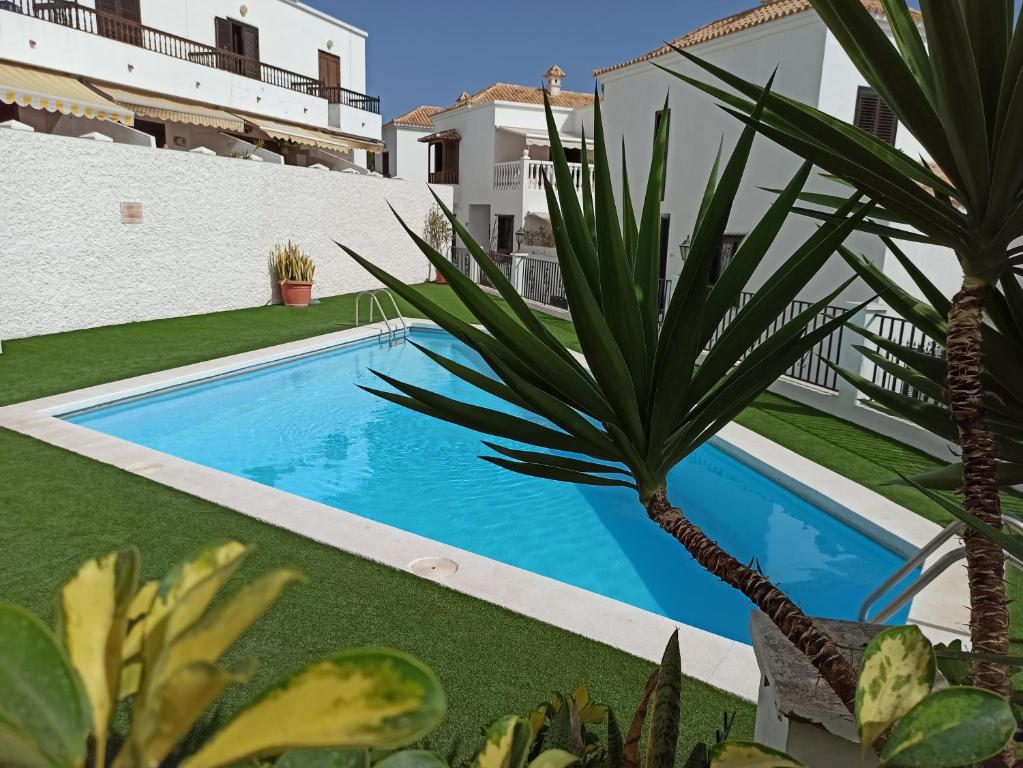 une piscine au milieu d'une cour avec des plantes dans l'établissement Casa Magdalena - private House with pool, à Chayofa