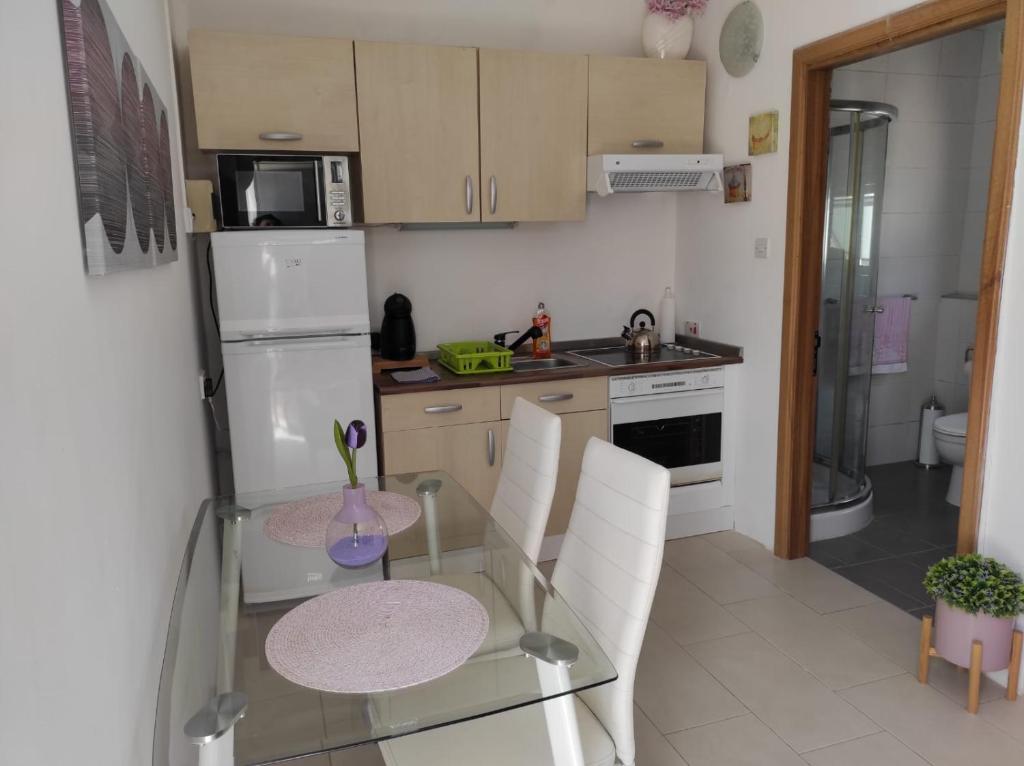 Kuchyň nebo kuchyňský kout v ubytování Studio apartment with private terrace, Jacuzzi & views