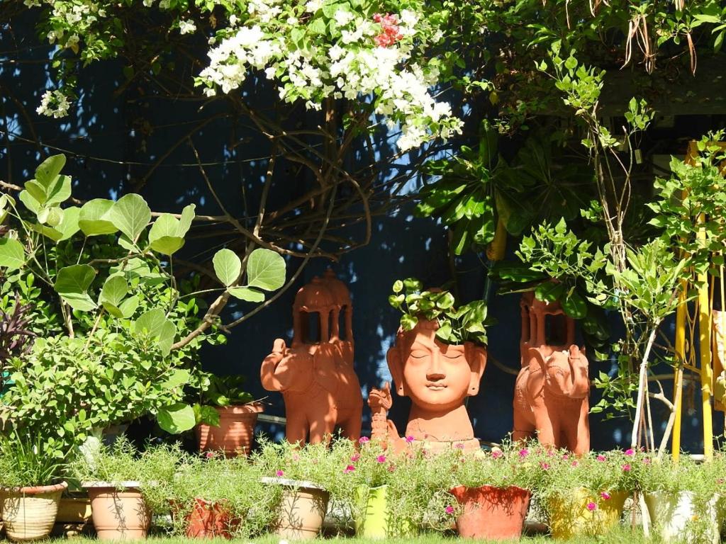 Zahrada ubytování The Coral Tree Boutique Homestay