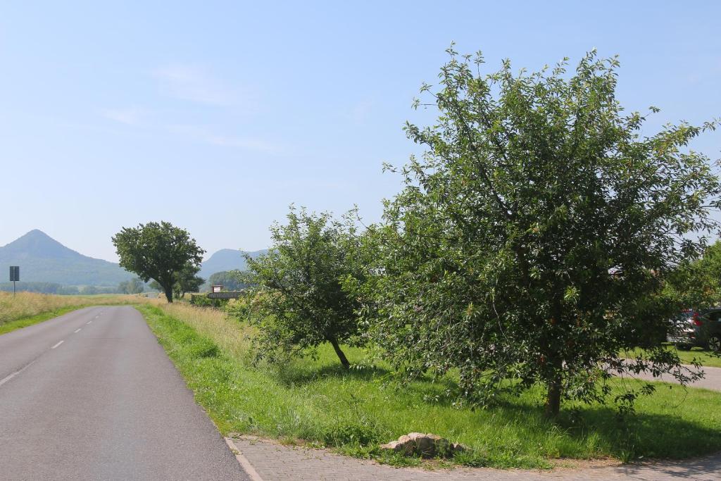 Przyroda w pobliżu tego pensjonatu