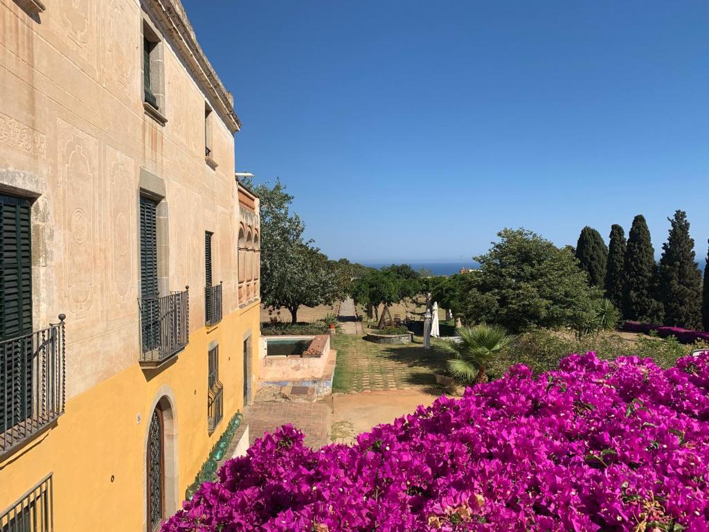 a garden with purple flowers next to a building at B&B Can Casadella in Premia de Dalt