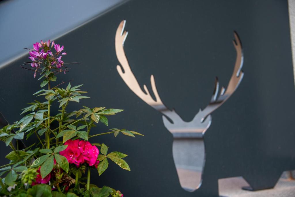 Fotografie z fotogalerie ubytování SCHÖNIS-Landhotel v Bad Mitterndorfu