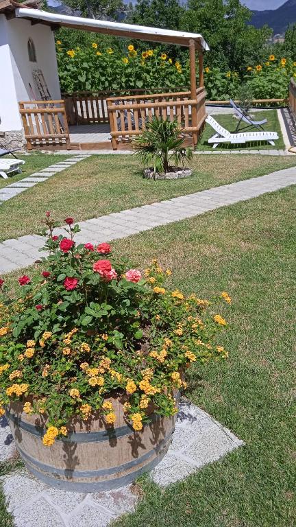a pot of flowers in a yard with a bench at Astra in Agerola