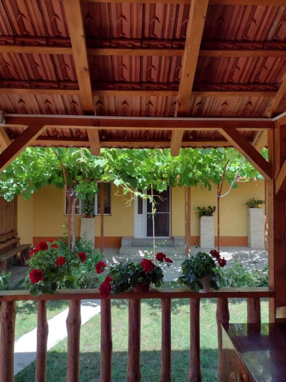 Casa Maru - Housity