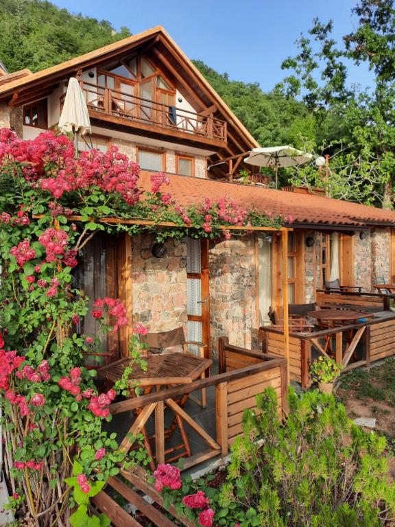 Gallery image of Robinson Sunset Guest House in Ohrid