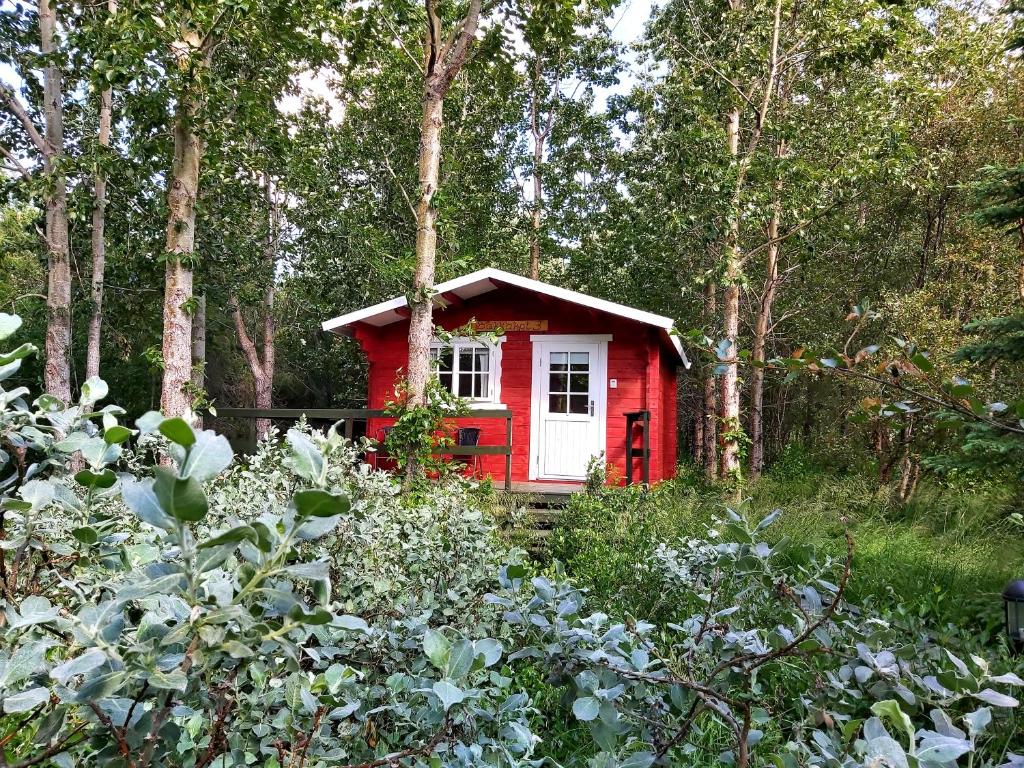 a red house in the middle of a forest at Bakkakot 3 Cozy Cabin In The Woods in Akureyri