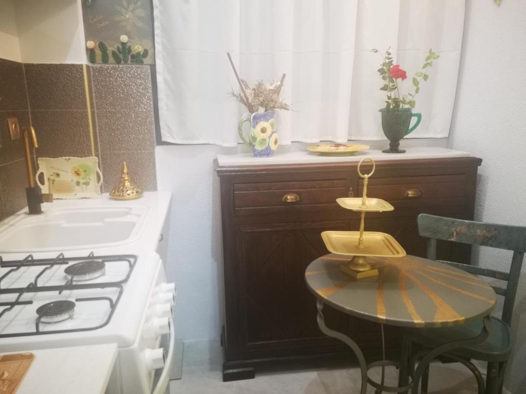 Kuchyň nebo kuchyňský kout v ubytování Cactus Suite