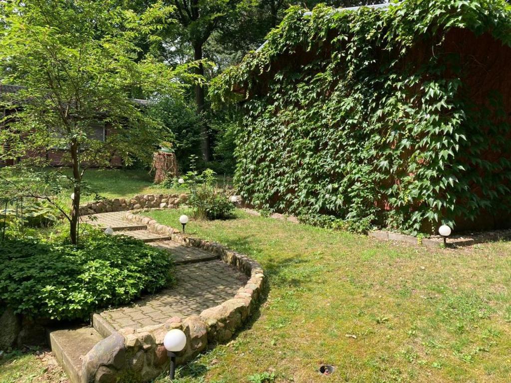 einen Garten mit einem Steinpfad und einem Baum in der Unterkunft waldhaus lioba in Zichtau