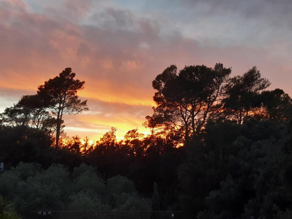 un coucher de soleil avec des arbres au premier plan dans l'établissement Villa Xanadu, à Taradeau