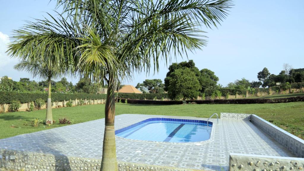 a palm tree sitting next to a swimming pool at Kaz Breeze Gardens in Kampala