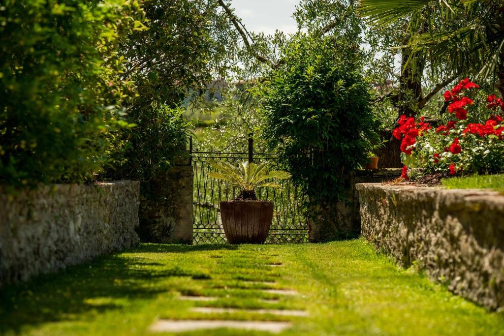 Ogród w obiekcie Palazzo Trevignane appartamento La Grande Cucina