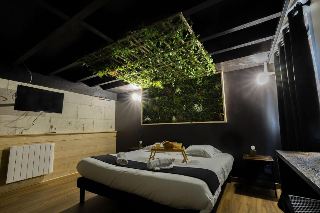 1 dormitorio con 1 cama grande y techo con luces en Kinabalu - Domaine Tropical, en Saint-Aignan
