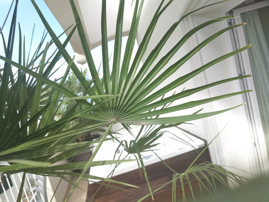 Hotel Ambassador - Resim 37