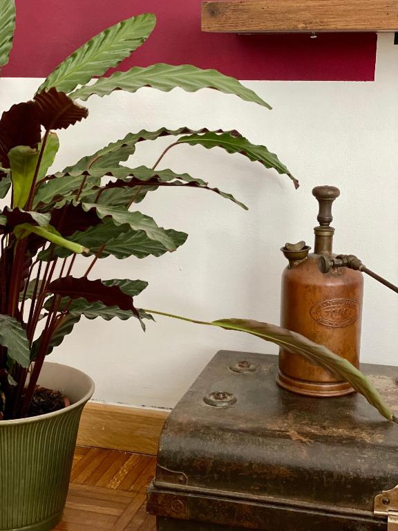 B&B Monteverdi L'Arancio - 14